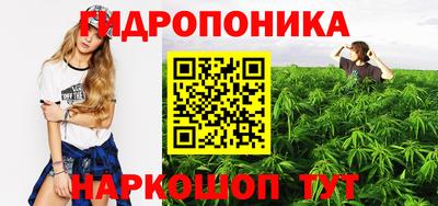 эйфоретик Обь